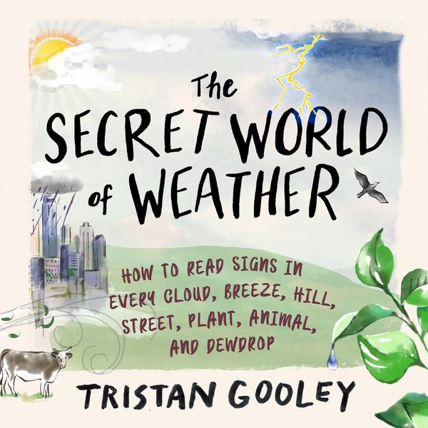 Cover Art for 9781649040916, The Secret World of Weather by Tristan Gooley