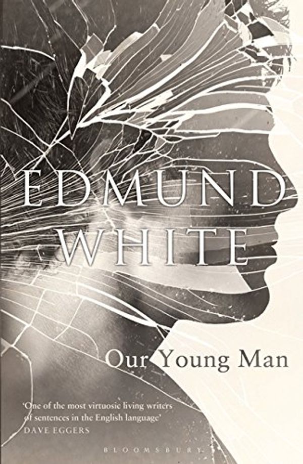 Cover Art for 9781408858943, Our Young Man by Edmund White