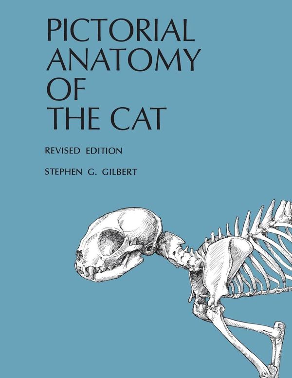 Cover Art for 9780295954547, Pictorial Anatomy of the Cat by Stephen G. Gilbert