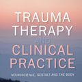 Cover Art for 9780335263103, Trauma Therapy And Clinical Practice: Neuroscience, Gestalt And The Body by Miriam Taylor