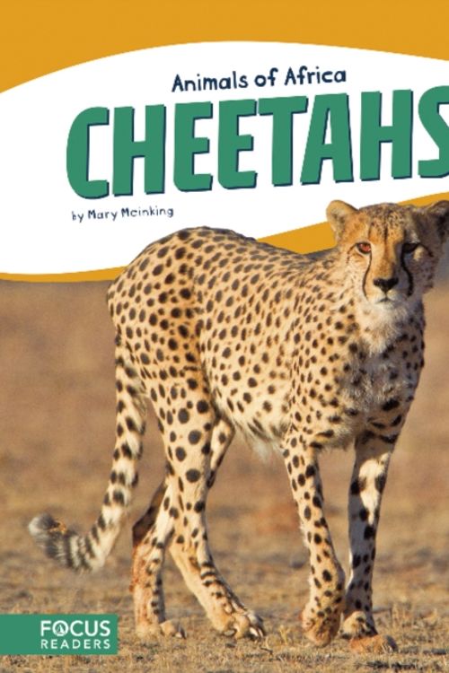 Cover Art for 9781635173253, Cheetahs by Mary Meinking