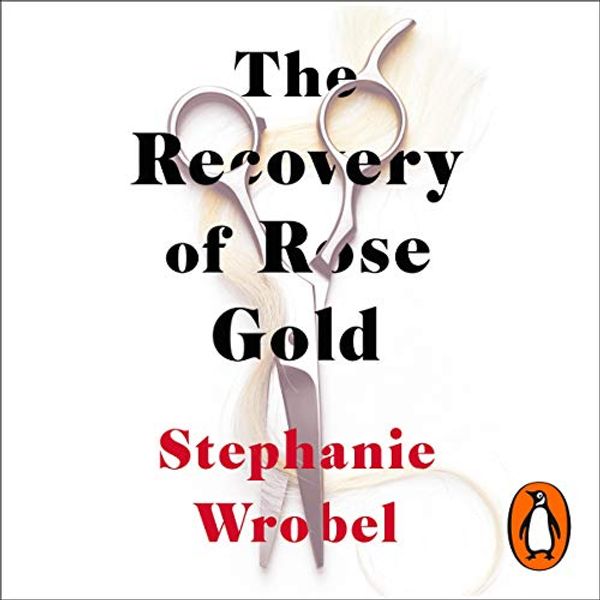 Cover Art for B07WCNLJM8, The Recovery of Rose Gold by Stephanie Wrobel