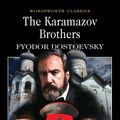 Cover Art for 9781848705715, The Karamazov Brothers by Fyodor Dostoevsky