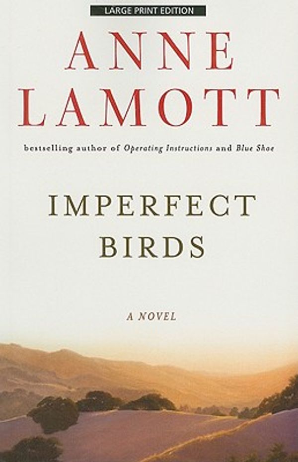 Cover Art for 9781594134494, Imperfect Birds by Anne Lamott