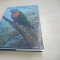 Cover Art for 9780236401024, Lories and Lorikeets by Rosemary Low