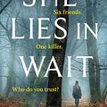 Cover Art for 9781405938488, She Lies in Wait by Gytha Lodge