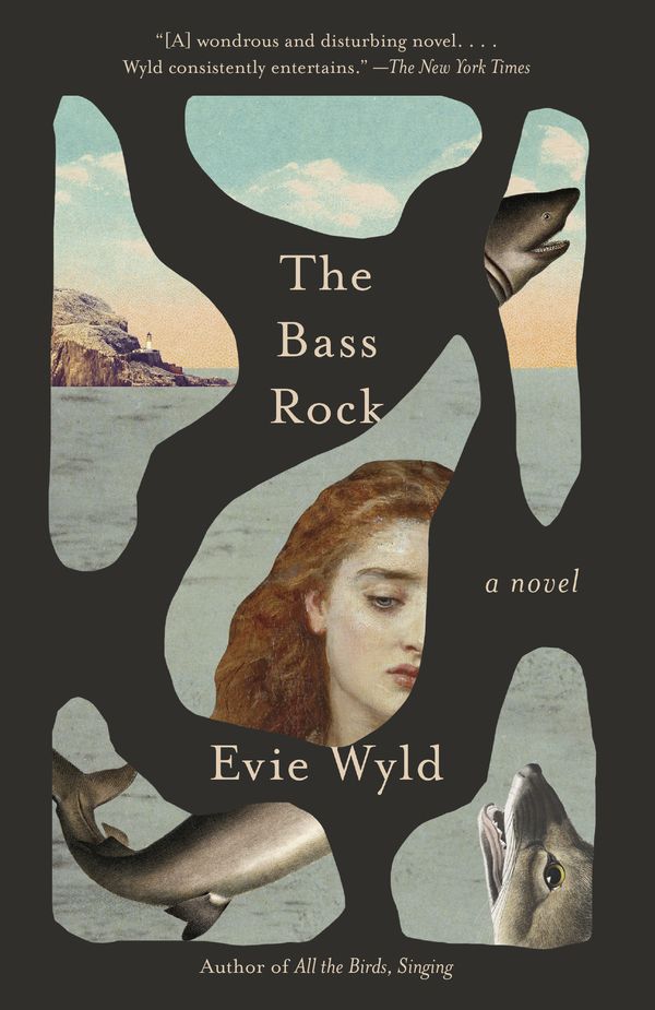Cover Art for 9780525432708, The Bass Rock by Evie Wyld