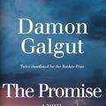 Cover Art for 9781609456580, The Promise by Damon Galgut