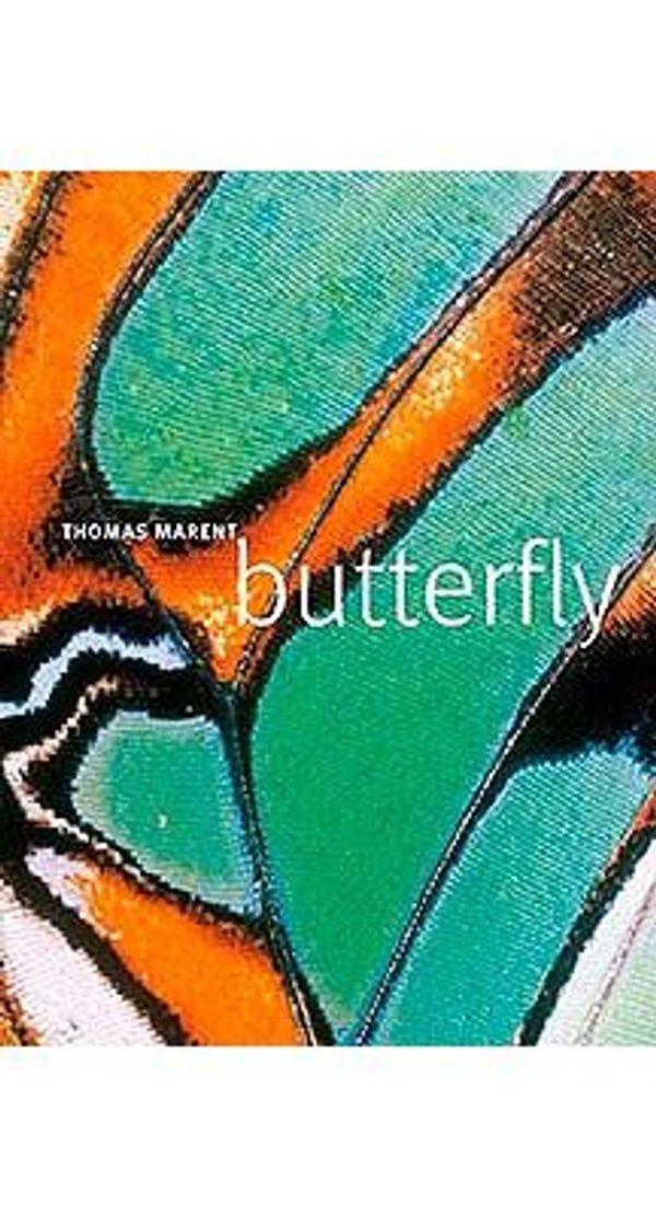 Cover Art for 0690472067290, Butterfly by Thomas Marent