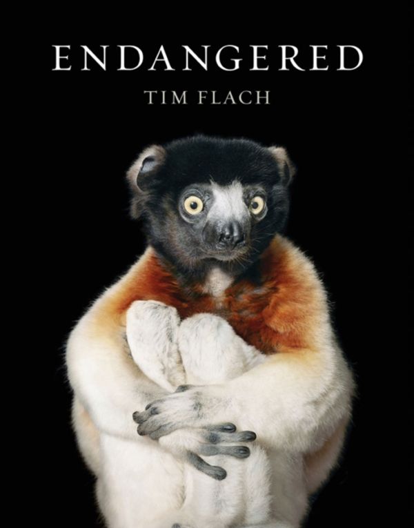 Cover Art for 9781419726514, Endangered by Tim Flach