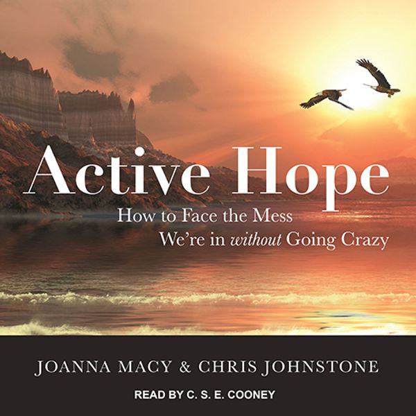 Cover Art for 9781515968290, Active Hope: How to Face the Mess We're in Without Going Crazy by Joanna Macy, PhD, Chris Johnstone