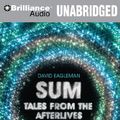 Cover Art for 9781441851567, Sum by David Eagleman