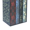 Cover Art for 9780241248768, The Brontë Sisters Boxed Set by Charlotte Bronte, Emily Bronte, Anne Bronte, Charlotte Brontë, Anne Brontë, Charlotte Bronte, Emily Bronte and Anne Bronte