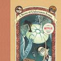 Cover Art for B000VYX9B2, A Series of Unfortunate Events #8: The Hostile Hospital by Lemony Snicket