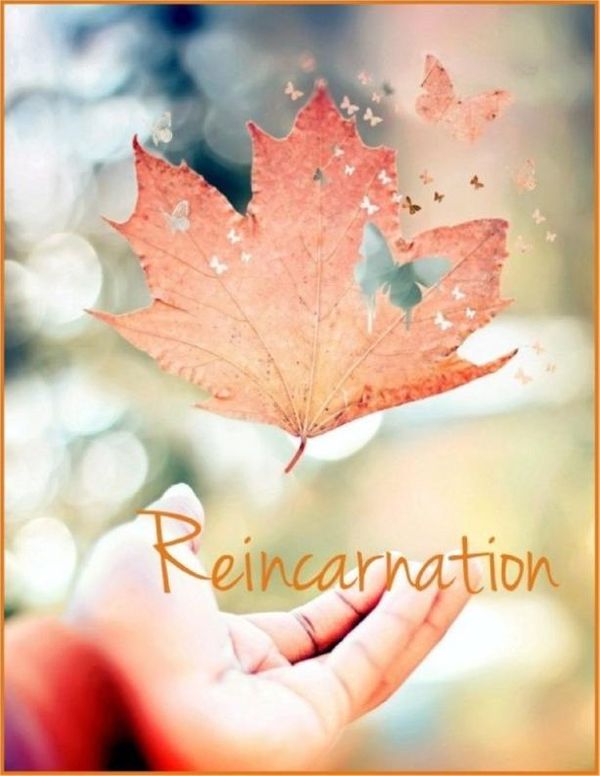 Cover Art for 9781105999567, Reincarnation: Five Lectures on Reincarnation, Heredity, Evolution, Scientific Resurrection and Theory of Transmigration by Swami Abhedananda
