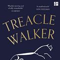 Cover Art for B08XTZCZT6, Treacle Walker by Alan Garner