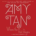 Cover Art for 9781538455432, Where the Past Begins: A Writer’s Memoir by Amy Tan