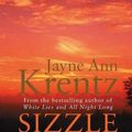 Cover Art for 9781405512985, Sizzle And Burn: Number 3 in series by Jayne Ann Krentz