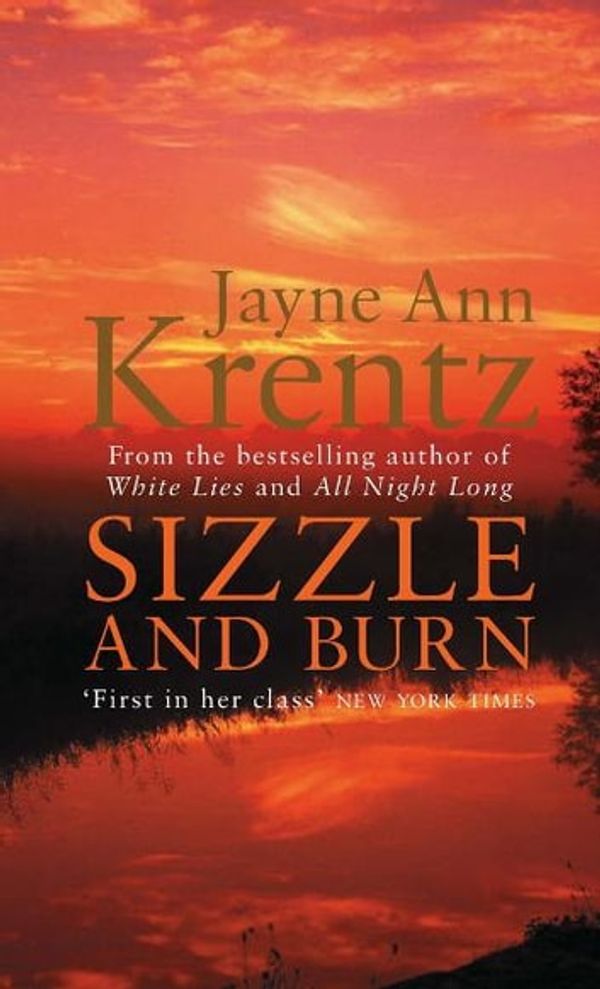 Cover Art for 9781405512985, Sizzle And Burn: Number 3 in series by Jayne Ann Krentz