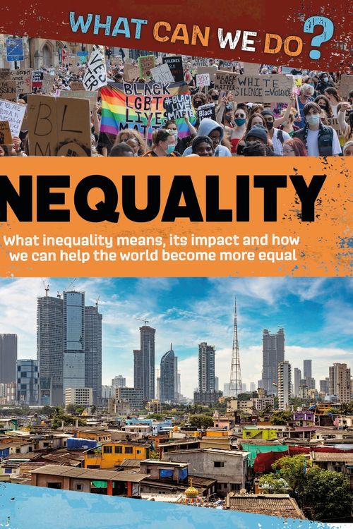 Cover Art for 9781445187976, What Can We Do?: Inequality by Katie Dicker