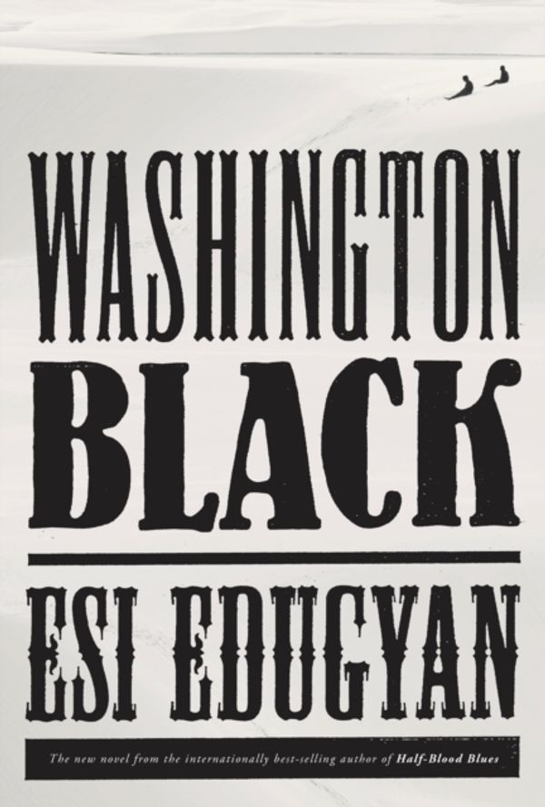 Cover Art for 9781524711443, Washington Black by Esi Edugyan