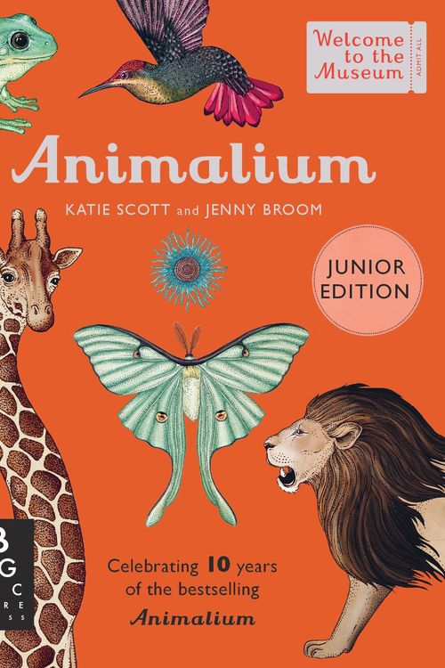 Cover Art for 9781800783706, Animalium (Junior Edition) (Welcome To The Museum) by Jenny Broom