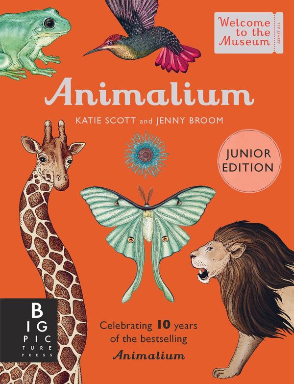 Cover Art for 9781800783706, Animalium (Junior Edition) (Welcome To The Museum) by Jenny Broom