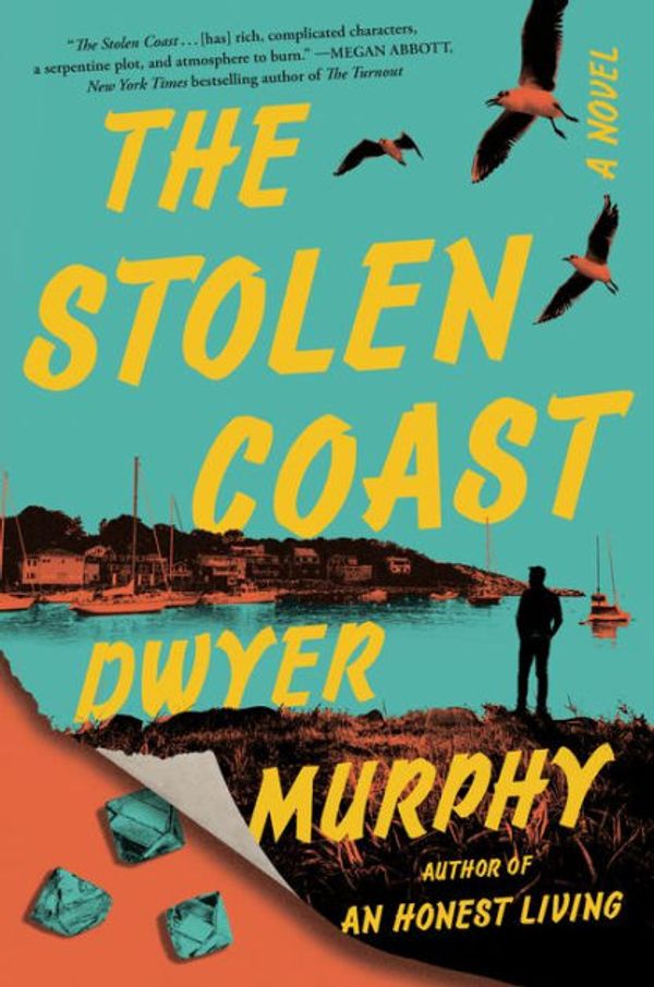 Cover Art for 9780593653678, The Stolen Coast: A Novel by Dwyer Murphy