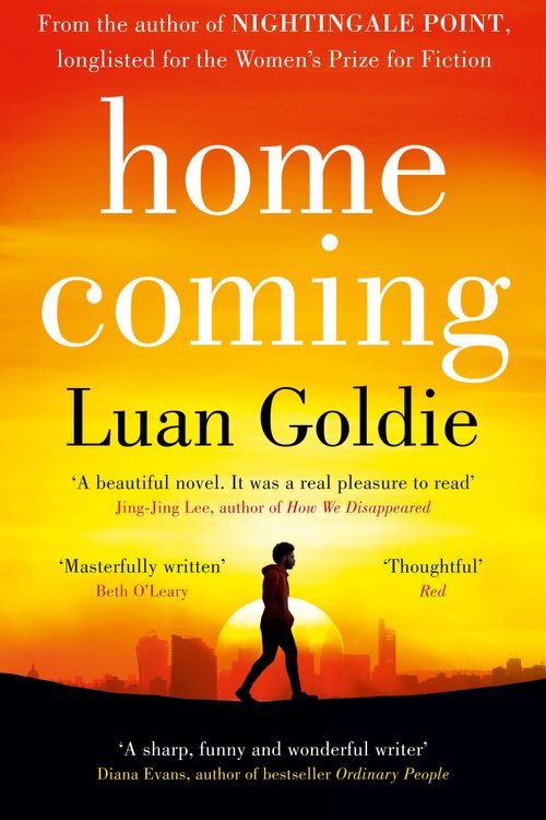 Cover Art for 9780008314668, Homecoming by Luan Goldie