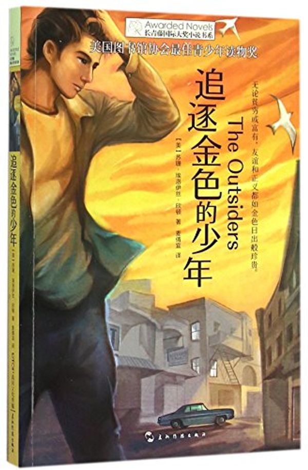 Cover Art for 9787508533162, The Outsiders (Chinese Edition) by Susan Elois Hinton