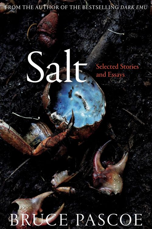 Cover Art for 9781760641580, Salt by Bruce Pascoe