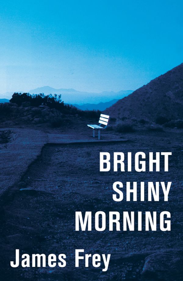 Cover Art for 9780061573132, Bright Shiny Morning by James Frey