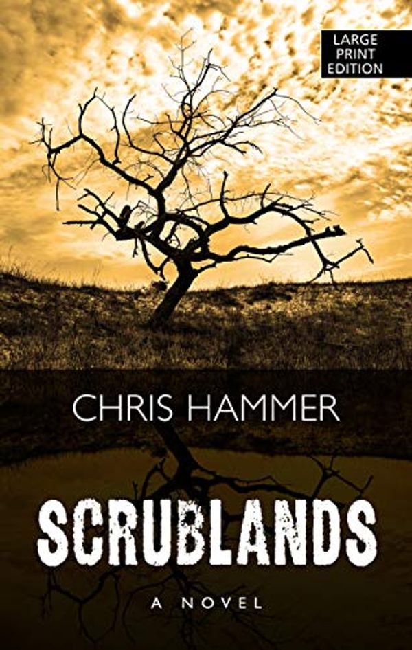Cover Art for 9781432862930, Scrublands: A Novel by Chris Hammer