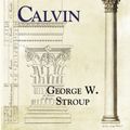 Cover Art for 9780687659135, Calvin by George W. Stroup