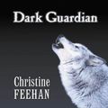 Cover Art for 9780786245734, Dark Guardian by Christine Feehan
