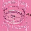 Cover Art for 9781594481956, My Friend Leonard by James Frey