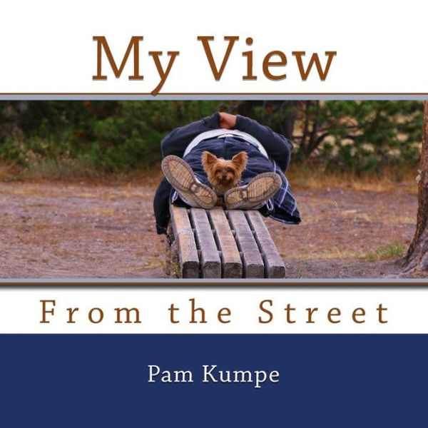 Cover Art for 9780692809273, My View from the Street by Pam Kumpe