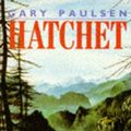 Cover Art for 9780330310451, Hatchet (Piper) by Gary Paulsen