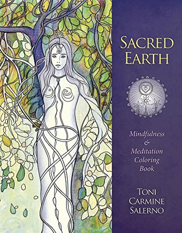 Cover Art for 9780738752815, Sacred Earth Mindfulness & Meditation Coloring Book by Toni Carmine Salerno