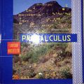 Cover Art for 9780618976904, Precalculus by Ron Larson
