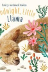 Cover Art for 9781913520281, Goodnight, Little Llama by Amanda Wood, Bec Winnel, Vicki Chu