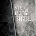 Cover Art for 9781563208317, NIV Economy Bible by Biblica