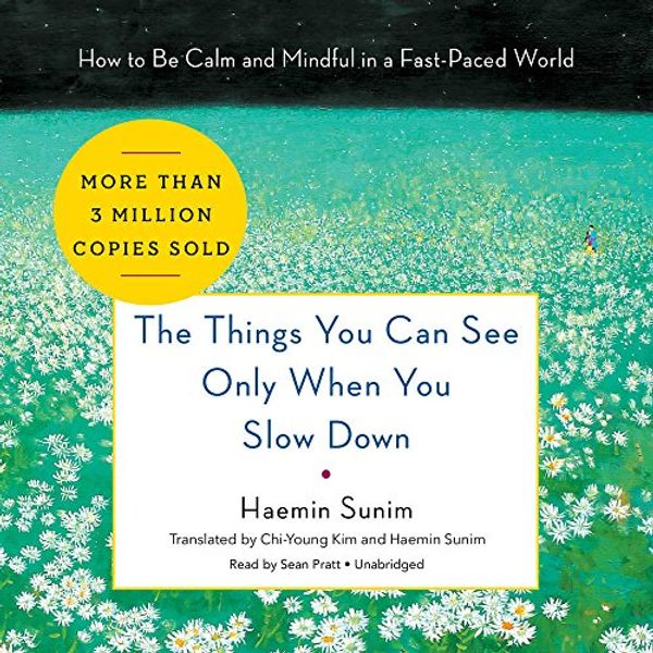 Cover Art for 9781538408513, The Things You Can See Only When You Slow Down by Haemin Sunim