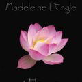 Cover Art for 9780312547981, A House Like a Lotus by L'Engle, Madeleine
