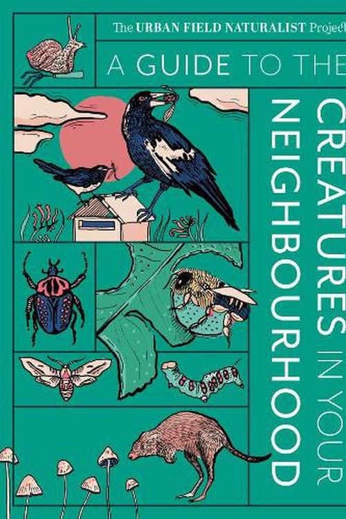 Cover Art for 9781922616326, A Guide to the Creatures in Your Neighbourhood by Zoë Sadokierski, Andrew Burrell, Dieter Hochuli, John Martin, Thom Van Dooren