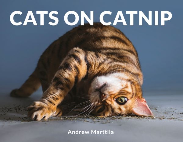 Cover Art for 9781472142672, Cats on Catnip by Andrew Marttila