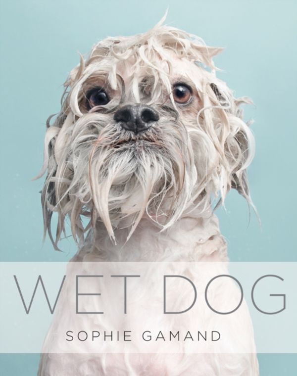 Cover Art for 9781781314098, Wet Dog by Sophie Gamand