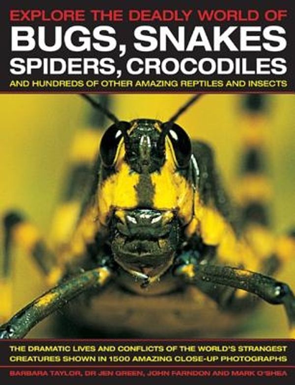 Cover Art for 9781843228400, Explore the Deadly World of Bugs, Snakes, Spiders, Crocodiles by Barbara Taylor