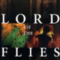 Cover Art for 9781417725892, Lord of the Flies by W. Golding
