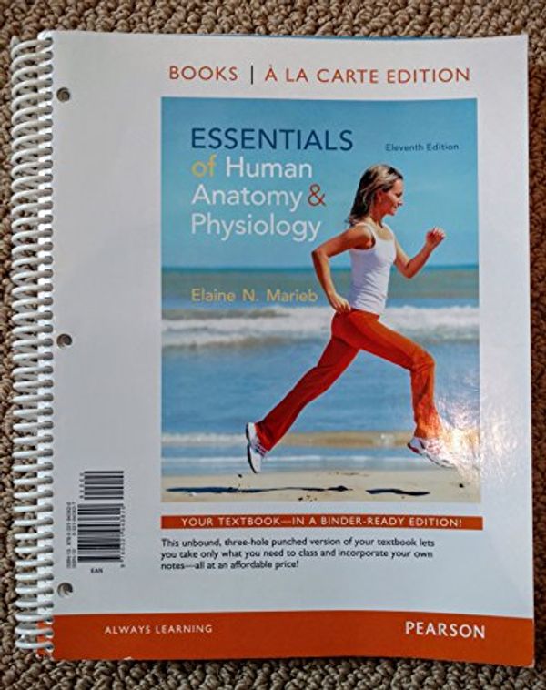 Cover Art for 9780321919007, Essentials of Human Anatomy & Physiology by Elaine N. Marieb